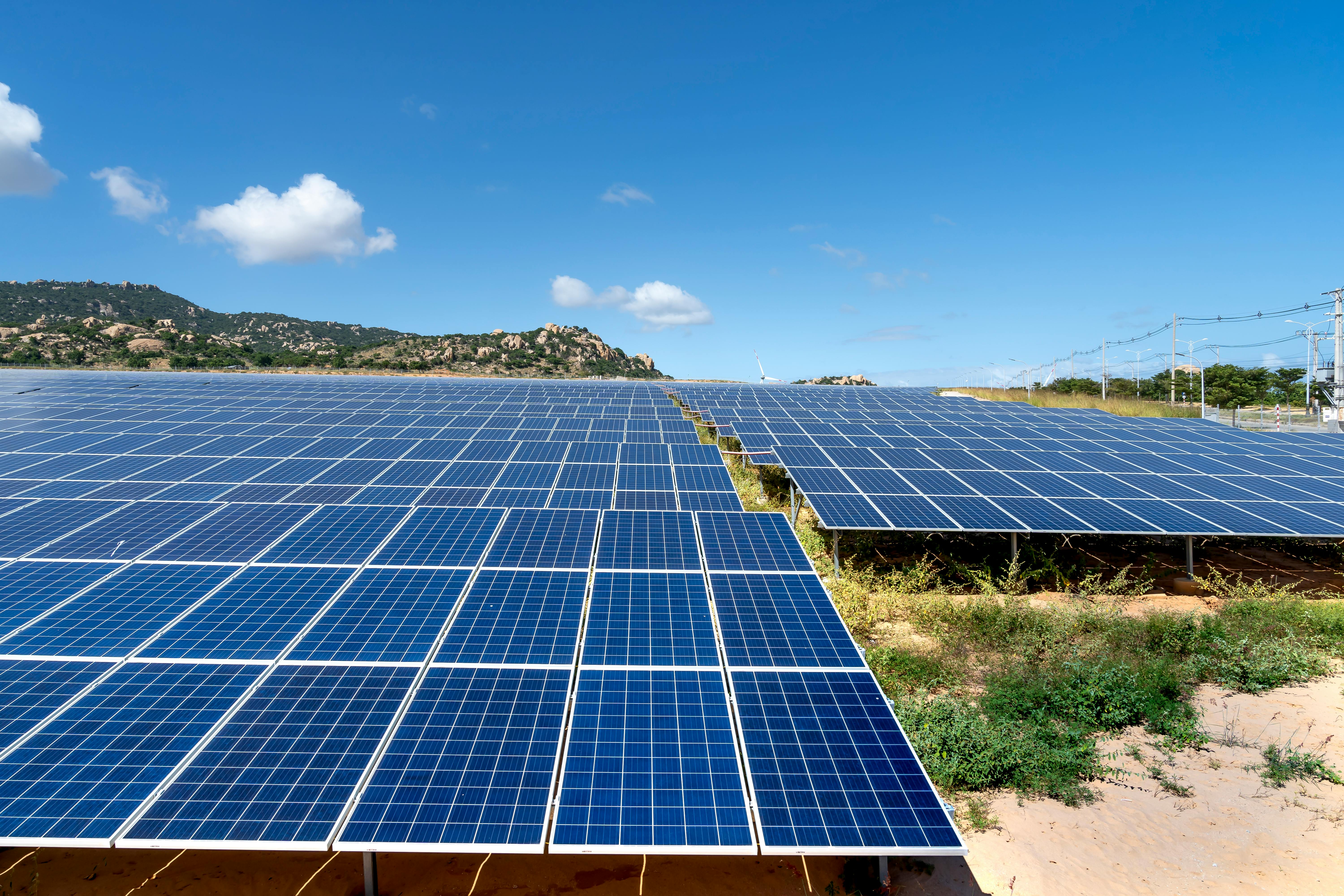 Gujarat Energy Tender