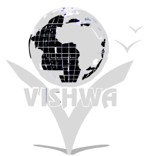 Vishwa Infra logo logo